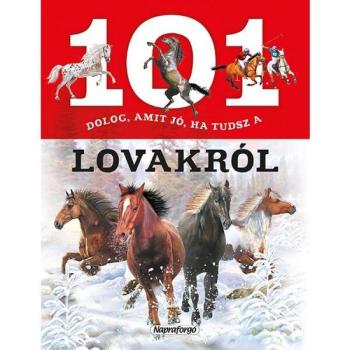 101 dolog, amit jó, ha tudsz a lovakról kép