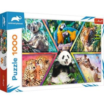 Animal Planet: Állati királyságok 1000db-os puzzle - Trefl kép