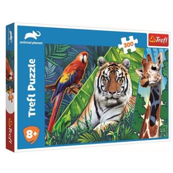 Animal Planet: Csodálatos állatok 300db-os puzzle - Trefl kép