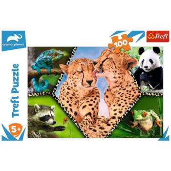 Animal Planet: Csodálatos természet 100db-os puzzle kép