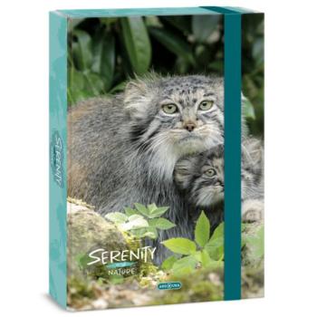 Ars Una: Serenity Manul A4-es füzetbox 4cm-es gerincvastagsággal kép