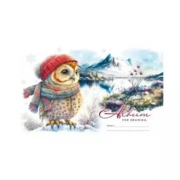 Bagoly mintás A4-es vázlatfüzet, 24 lapos kép