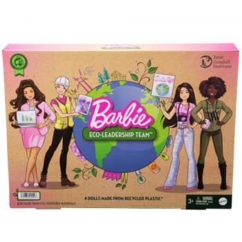 Barbie: Együtt a földért karrierbabák - 4 db-os szett kép