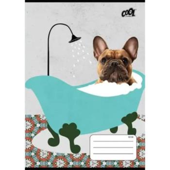 Bath: A5-ös vonalas füzet, 2. osztályos - 16-32 - többféle kép