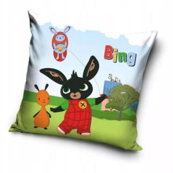 Bing: Bársony tapintású párnahuzat - 40 x 40 cm kép