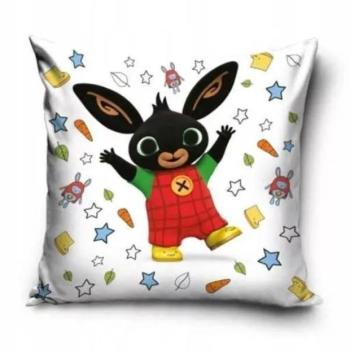 Bing: Párnahuzat - 40 x 40 cm kép