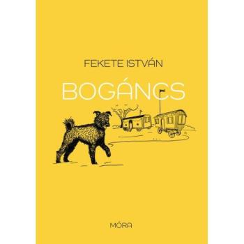 Bogáncs - felújított sorozat - Fekete István kép