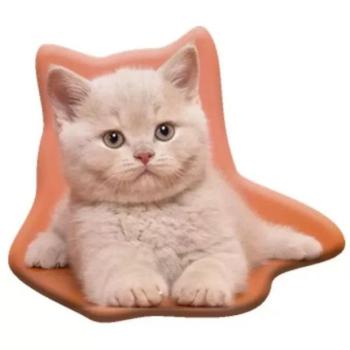 Cica mintás formapárna, bársonyos tapintású - 40 x 40 kép