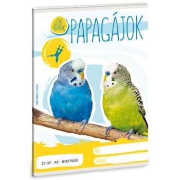 Cuki állatok - Papagájok kockás füzet A/5 kép