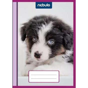 Cuki mintás bújtatós füzetborító - A/5-ös, 10 db-os csomag kép