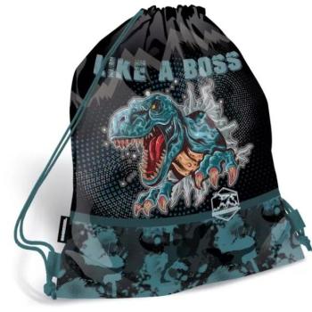 Dino Cool: Tornazsák kép