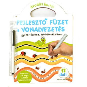 Fejlesztő füzet - Vonalvezetés - D-Toys kép