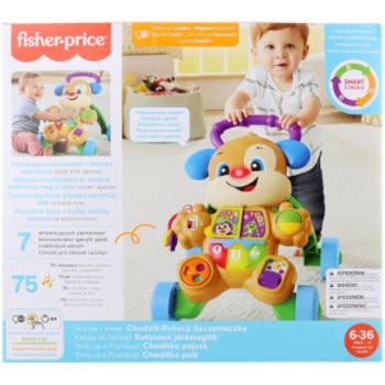 Fisher-Price: Járássegítő kutyus négy nyelven beszél - Mattel kép