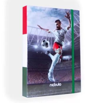 Foci mintás hullámkarton füzetbox - A4 kép