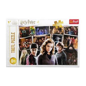 Harry Potter és barátai 160 db-os puzzle - Trefl kép