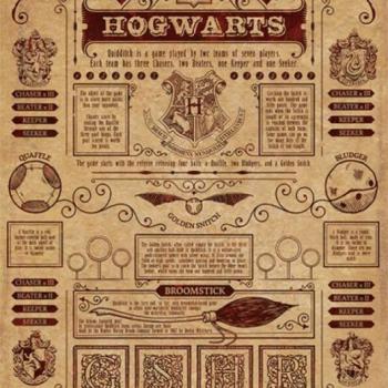 Harry Potter (Quidditch at Hogwarts) maxi poszter kép