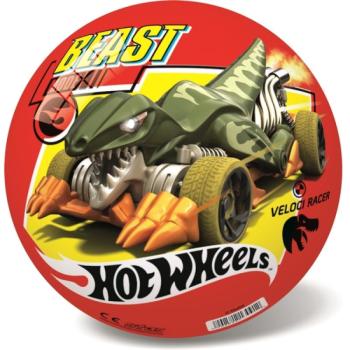 Hot Wheels mintás gumilabda - 23 cm kép