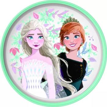 Jégvarázs: Műanyag csúszásgátlós lapostányér kép