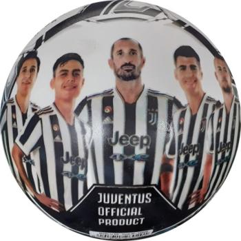 Juventus BioBall gumilabda 23cm - Mondo Toys kép