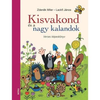 Kisvakond és a nagy kalandok - Verses képeskönyv kép