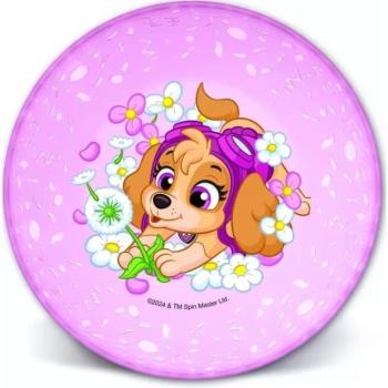 Mancs őrjárat: Joy műanyag mélytányér, pink kép