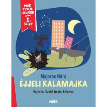 Már tudok olvasni - 1. szint - Éjjeli kalamajka kép