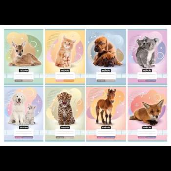 Nebulo: Állat mintás vonalas füzet, 3. osztályos, 12-32, A5 - többféle kép