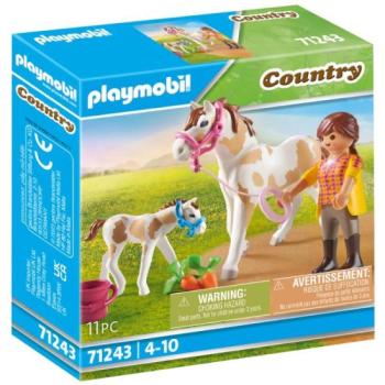 Playmobil: Ló és kiscsikó 71243 kép