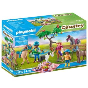 Playmobil: Lovas piknik 71239 kép