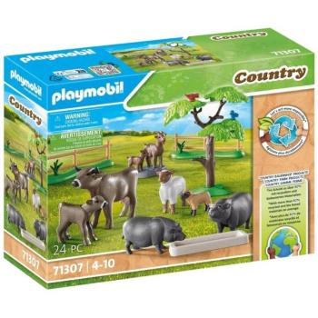 Playmobil: Tanyasi állatkák (71307) kép