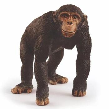 Schleich: Csimpánz figura 14883 kép