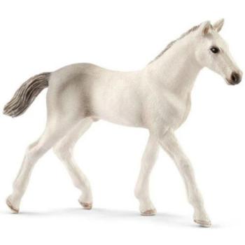 Schleich: Holstein csikó 13860 kép