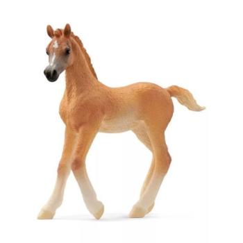 Schleich Horse Club: Arab csikó figura 13984 kép