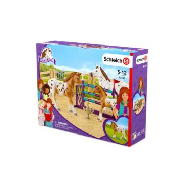 Schleich Horse Club: Lisa edzése versenyre 42433 kép