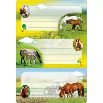 Herma: Lovas füzet címke - csillámos, 6 db-os kép