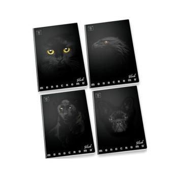 Pigna: Monocromo Black vonalas füzet - A4, 81-38, többféle kép