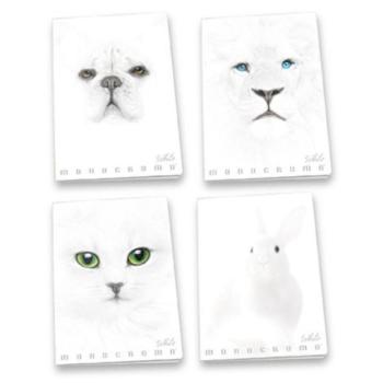 Pigna: Monocromo White vonalas füzet, A4 - többféle kép