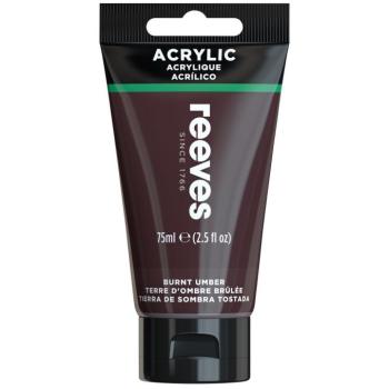 Akrilfesték barna 75ml Reeves kép