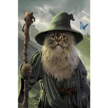 CATDALF - MAXI poszter MAXI poszter kép