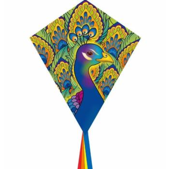 Eddy Peacock 70 cm sárkány kép