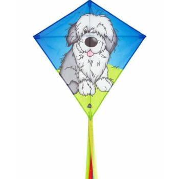 Eddy Shaggy Dog sárkány kép