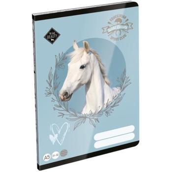 ICO: LizzySuli Wild Beauty Sport Club 4. osztályos vonalas füzet A/5 21-32 kép