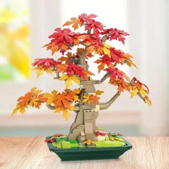 Juhar bonsai építőkocka