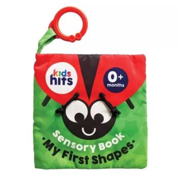 Kids Hits: Szenzoros lapozgató babáknak - Első formáim kép