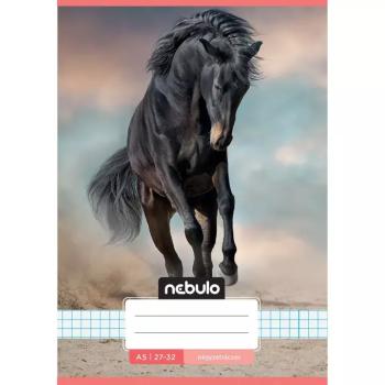 Nebulo: Ló a homokban mintás kockás füzet A/5 27-32 kép