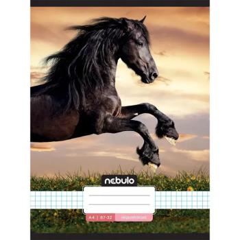 Nebulo: Tűzött kockás - Ló a naplementében mintás füzet 87-32 A/4 kép