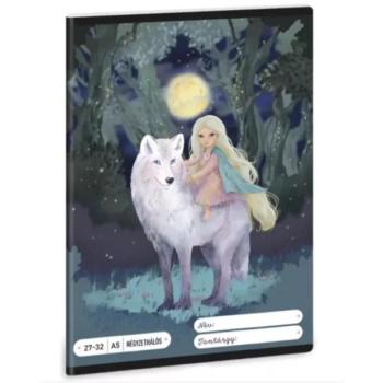 Northern Lights: négyzetrácsos füzet - A/5-ös kép