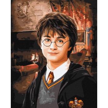 Számok szerinti festés - Harry Potter ©Warner Bros. 40 x 50 cm kép