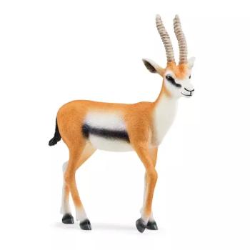 Thomson gazella - Schleich 14861 kép
