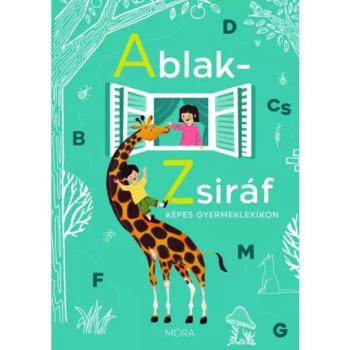 Ablak-Zsiráf felújítás kép